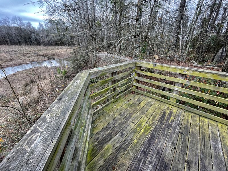 Removing Mold and Mildew